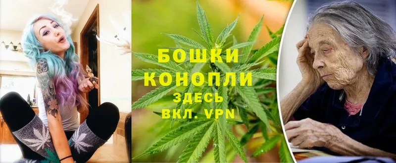 Каннабис SATIVA & INDICA  купить   Ногинск 